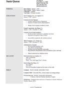 Employment CV Template (A4)