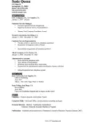 Brief CV Template (A4)