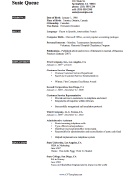 Expertise CV Template (A4)