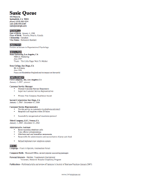 Academic CV Template