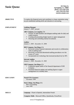 Auditor CV (A4)