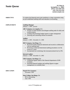 Auditor CV