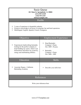 Bartender CV Template