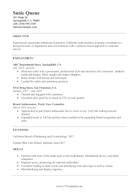 Beauty Consultant CV A4