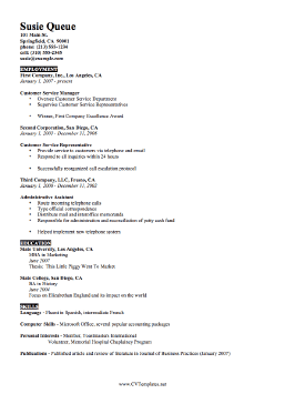 Brief CV Template (A4)