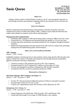 CEO CV (A4)