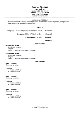 CV With Hard And Soft Skills A4