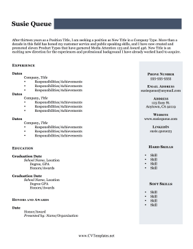 CV With Personal Profile