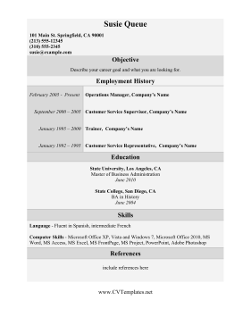 Chronological CV Template