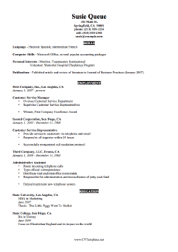 Concise CV Template (A4)