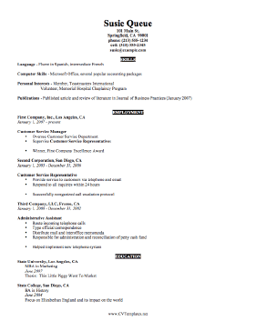 Concise CV Template