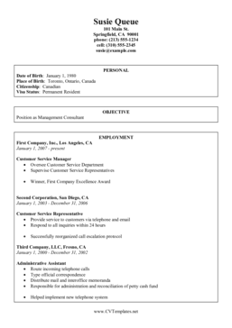 Consultant CV Template (A4)