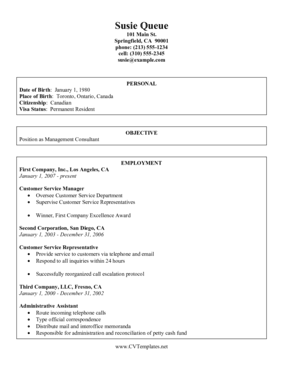 Consultant CV Template