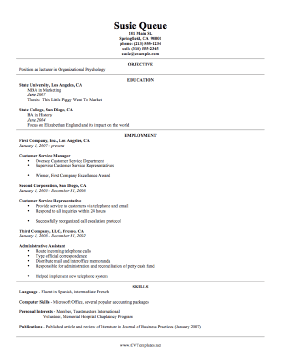 Detailed CV Template