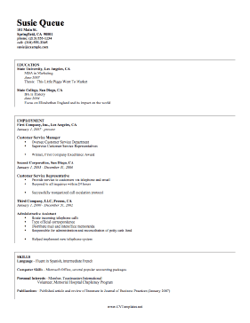 Example CV Template