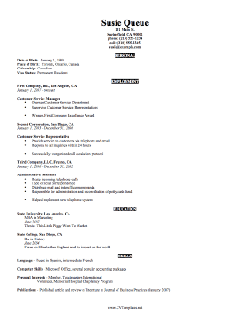 Executive CV Template