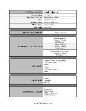 General Manager CV Template