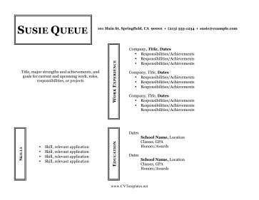 Horizontal Professional CV