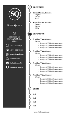 Icon CV Inverted (A4)