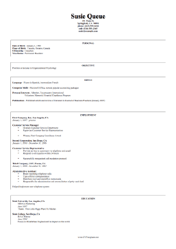 International CV Template (A4)