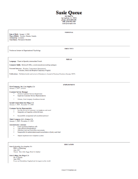 International CV Template