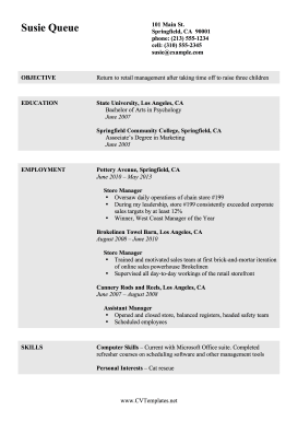 Job Gap CV (A4)