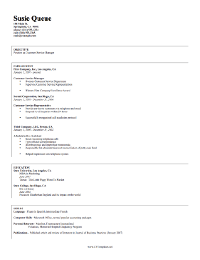 Management CV Template