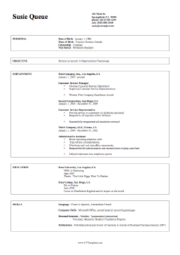 Professional CV Template (A4)