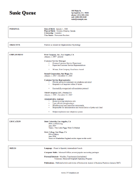 Professional CV Template