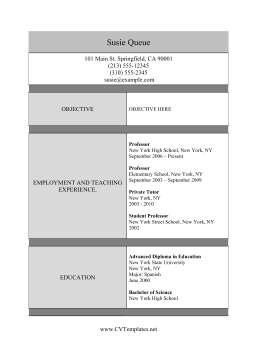 Professor CV Template (A4)