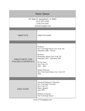 Professor CV Template