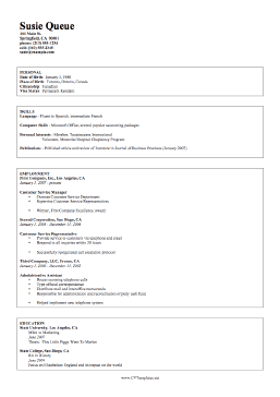 Proficiency CV Template (A4)