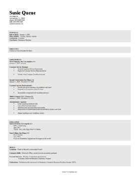 Sales CV Template