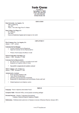 Sample CV Template (A4)