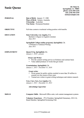 Simple Business CV (A4)