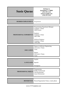 Software Engineer CV Template (A4)