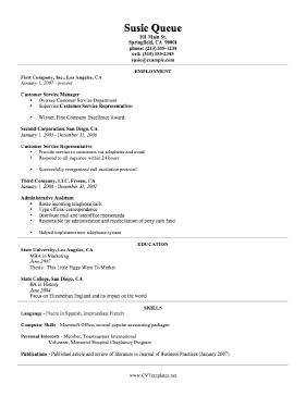 Technical CV Template