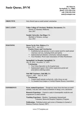 Veterinarian CV (A4)